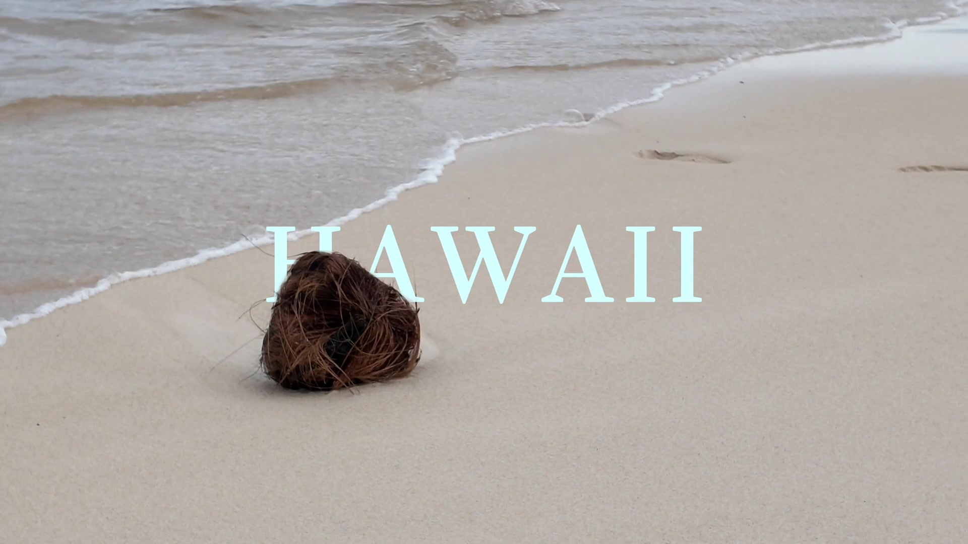 Still frame from the Hawaii vlog
